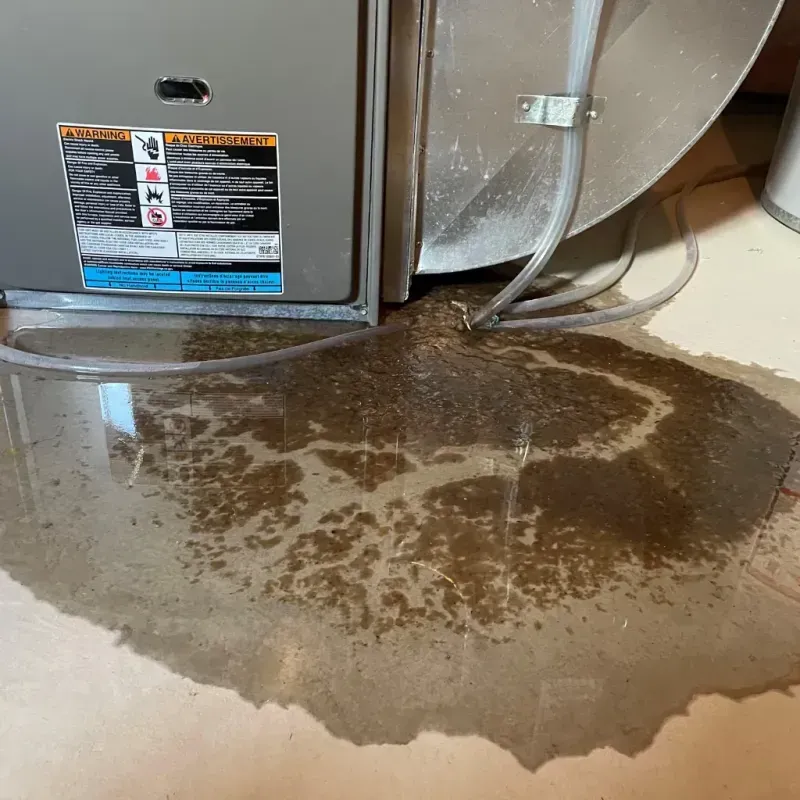 Appliance Leak Cleanup in Taylor Mill, KY